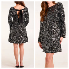 Load image into Gallery viewer, Velvet sequin dress/tunic - silver/grey
